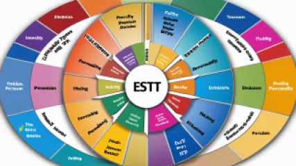 The Ultimate Guide to Understanding Personality Types