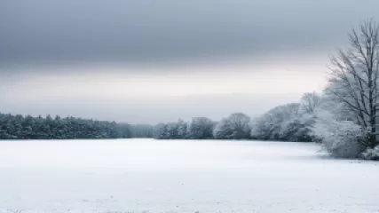 How to Manage Seasonal Affective Disorder with Online Resources