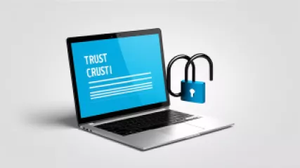 Building Trust Online: A Research Summary